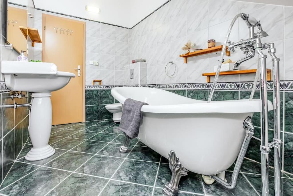 Utulny A Prostorny Podkrovni Byt S Krbovymi Kamny Чеське Будєйовіце Екстер'єр фото